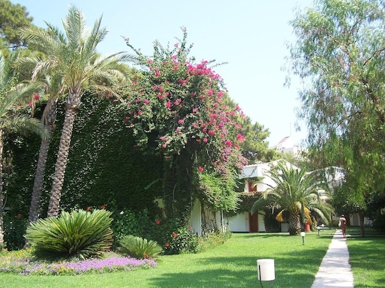 Gallery - Club Boran Mare Beach - All Inclusive