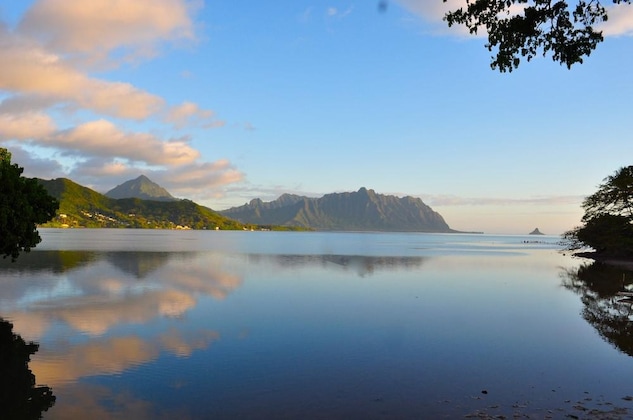 Gallery - Paradise Bay Resort