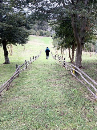 Gallery - Parque Quilquico