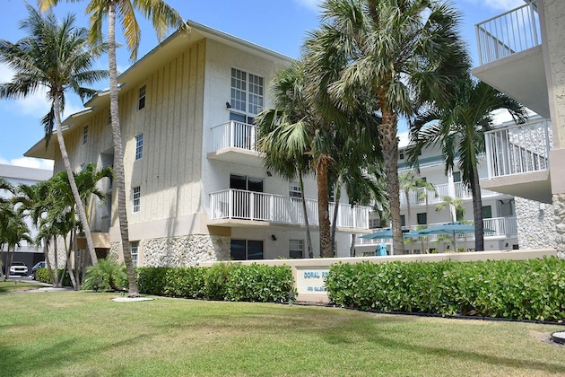 Gallery - Coral Reef At Key Biscayne