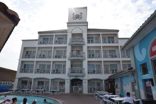 Gallery - Sand Rose Beach Resort