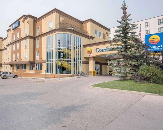 Gallery - Comfort Inn & Suites University