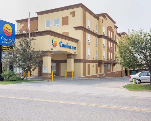 Gallery - Comfort Inn & Suites University