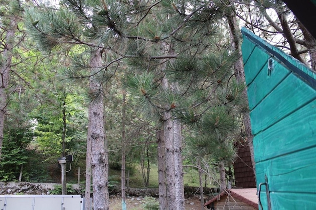 Gallery - Natyral Razma Resort