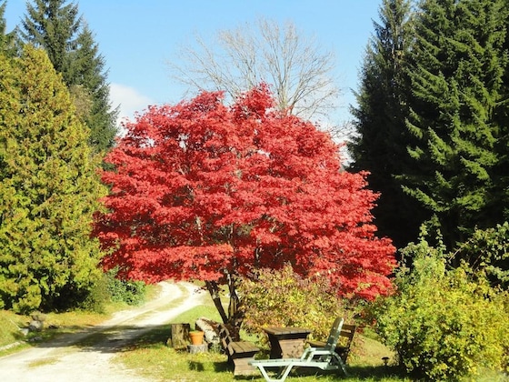 Gallery - Ferienhaus Hollinger