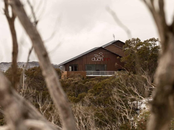 Gallery - Duck Inn Mt Buller