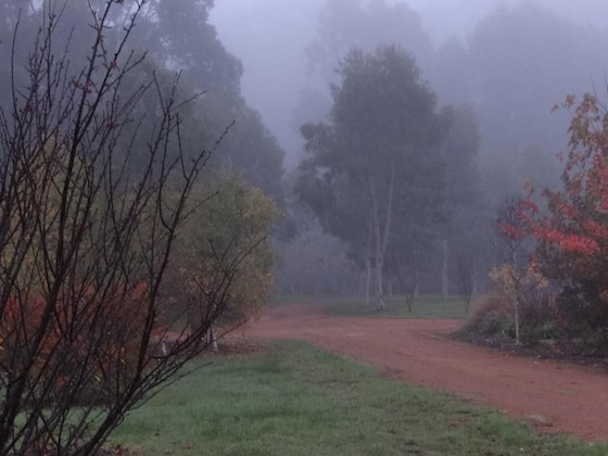 Gallery - Big Brook Retreat