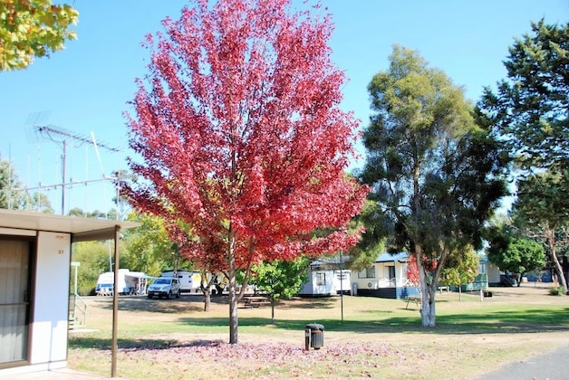 Gallery - Beechworth Lake Sambell Caravan Park