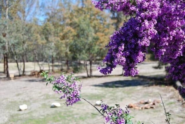 Gallery - Gumleaves Bush Holidays