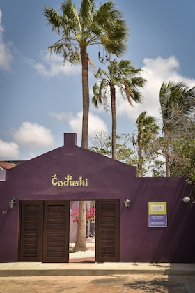 Gallery - Cadushi Apartments