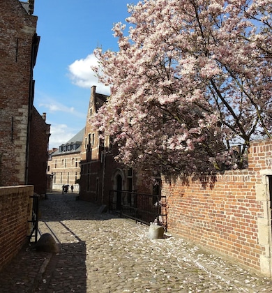 Gallery - Begijnhof Hotel
