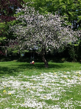 Gallery - Tollundgaard Golf Park