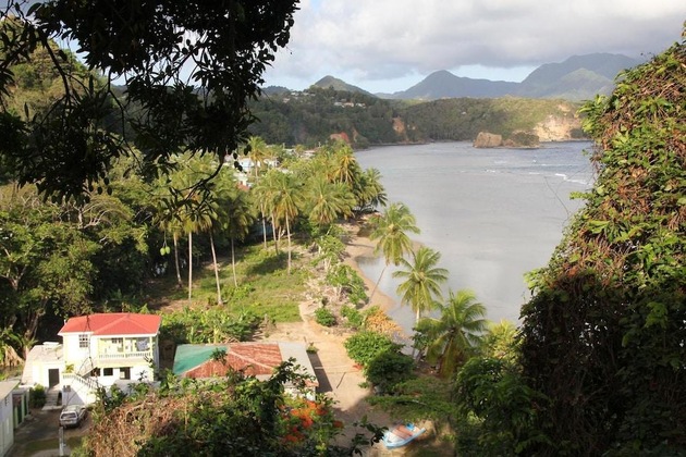 Gallery - The Nixon's Bay Side Mangrove Inn