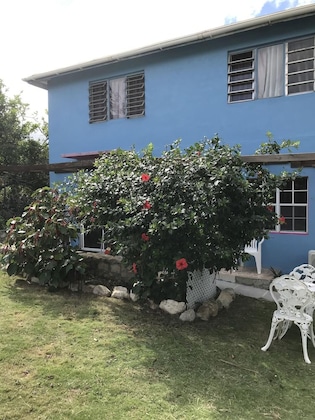 Gallery - Ellen Bay Cottages