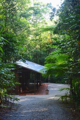 Gallery - Daintree Cascades