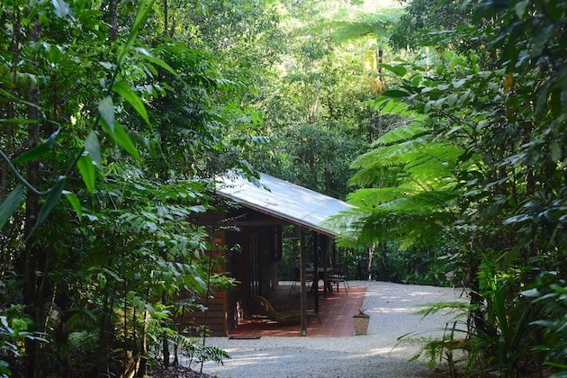 Gallery - Daintree Cascades