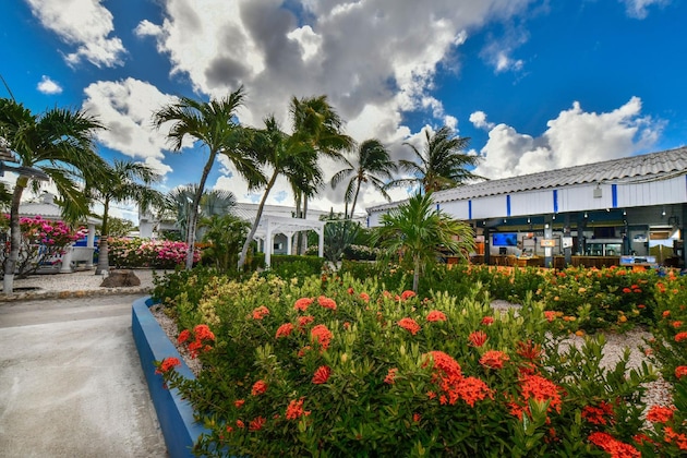 Gallery - Aruba Blue Village