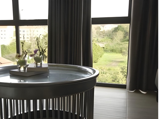 Gallery - Apartamentos Alvear Suites