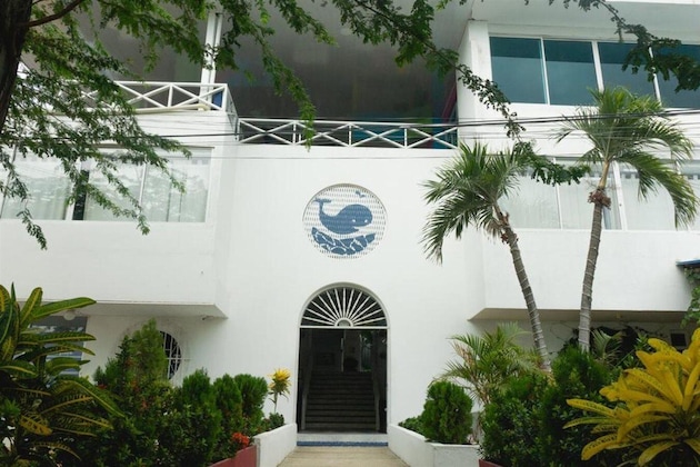 Gallery - La Ballena Azul Hotel