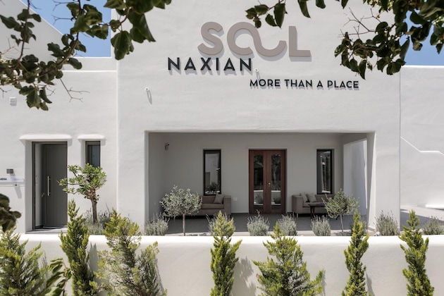 Gallery - Naxian Soul