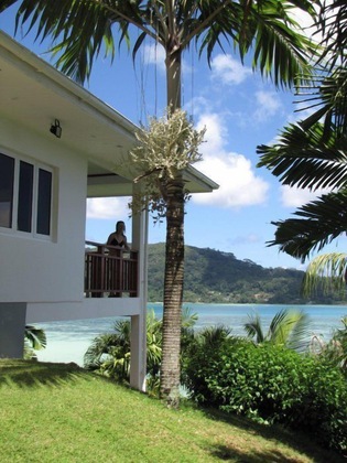 Gallery - Sailfish Beach Villas