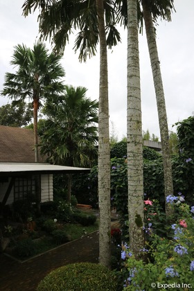 Gallery - Joaquin's Bed And Breakfast