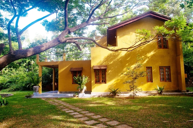 Gallery - Raintree