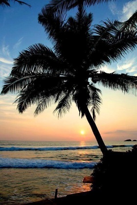 Gallery - Time N Tide Beach Resort