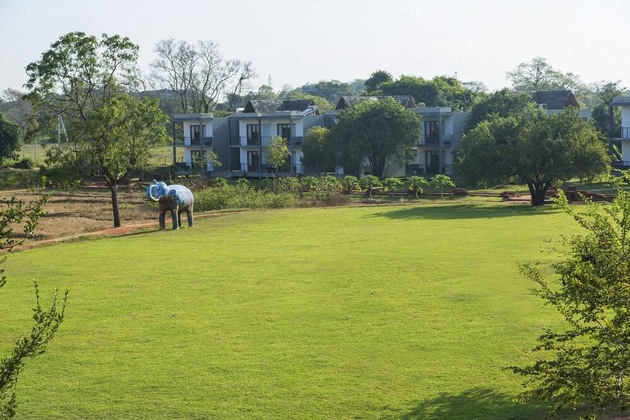 Gallery - Aliya Resort & Spa