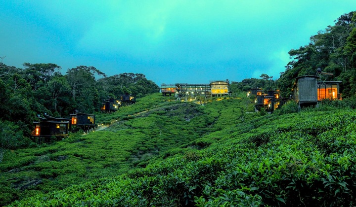 Gallery - The Rainforest Ecolodge