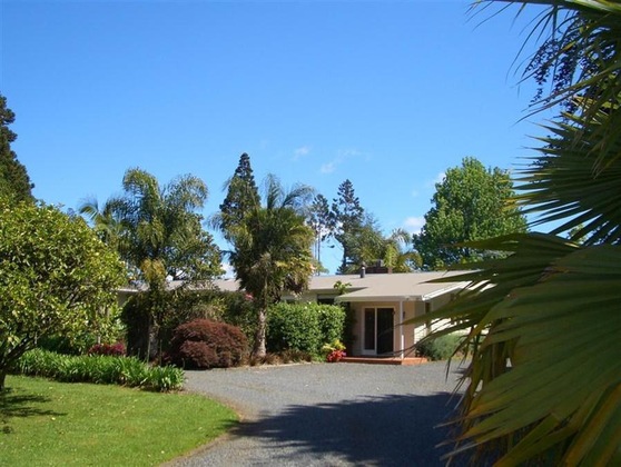 Gallery - Pateke Lodge