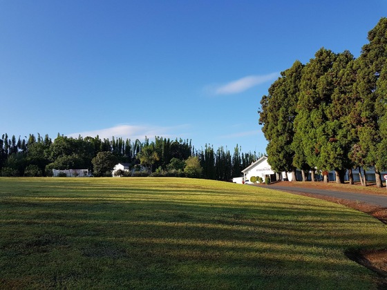 Gallery - Kerikeri Park Lodge