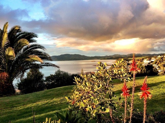 Gallery - Carneval Ocean View