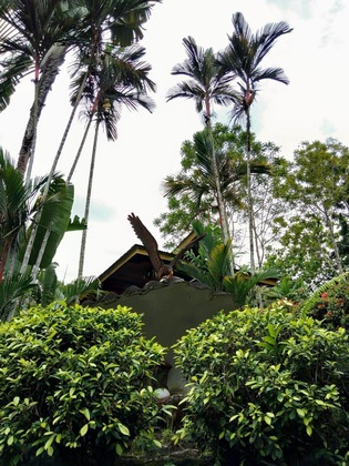 Gallery - Sepilok Jungle Resort