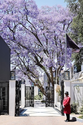 Gallery - Park Hyatt Johannesburg