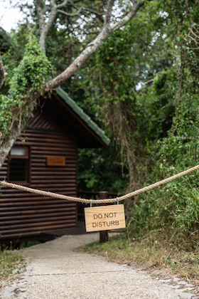 Gallery - Thunzi Bush Lodge