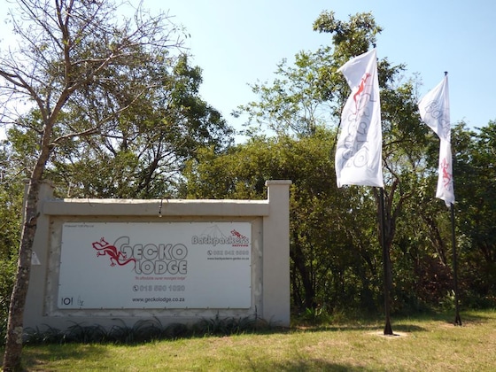 Gallery - Gecko Lodge