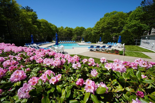 Gallery - Sea Mist Resort