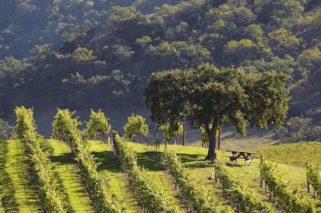 Gallery - Cordevalle