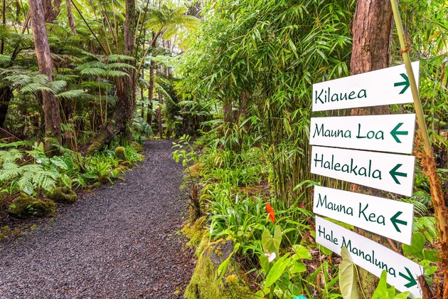 Gallery - Volcano Village Lodge