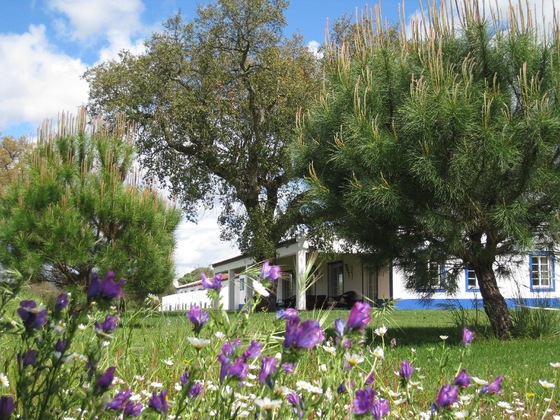 Gallery - Monte Das Faias