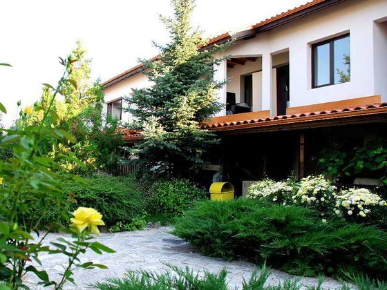 Gallery - Piry