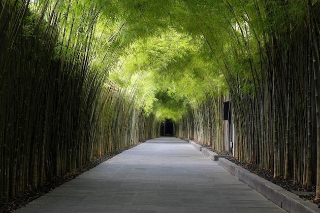 Gallery - The Jineng Villas