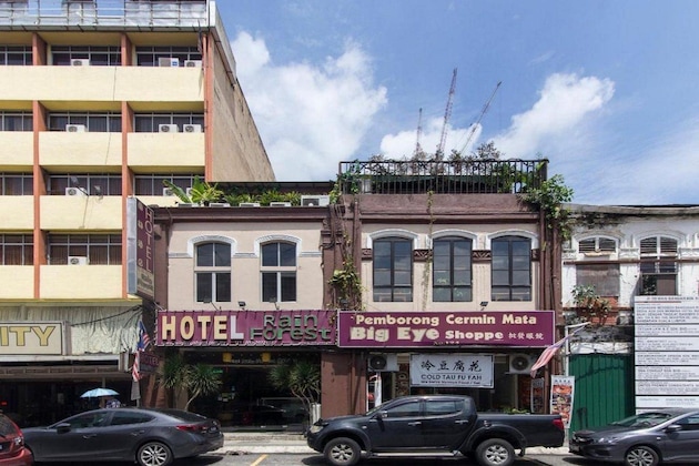 Gallery - Rain Forest Hotel