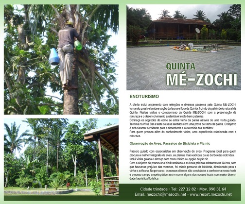 Gallery - Me-Zochi