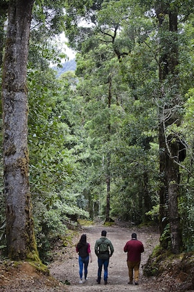 Gallery - Savegre Hotel Natural Reserve & Spa