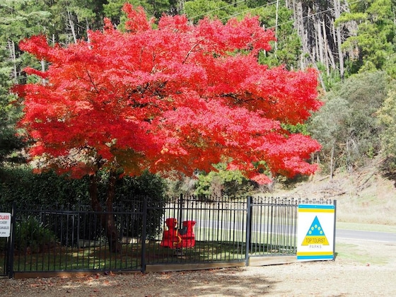 Gallery - Porepunkah Pines Holiday Park
