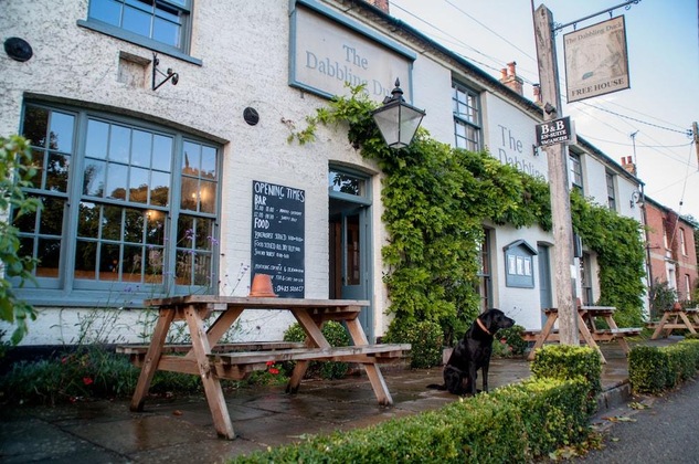 Gallery - The Dabbling Duck