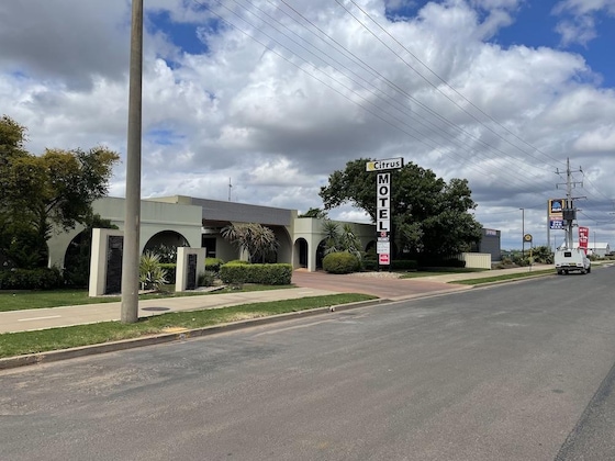 Gallery - Citrus Motel