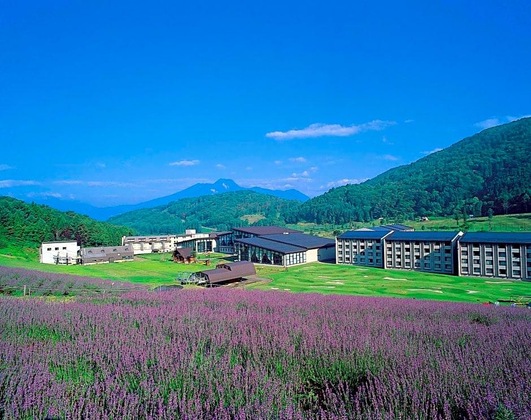 Gallery - Hotel Tangram
